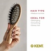 image:imageKent LPF1 Pure Flow Oval Cushion Vented Hair Brush FSC Certified Beech Wood Paddle Brush filled with Natural Boar Bristle and Nylon Bristle for Blowdry Detangle Volume and Curls Made in EnglandLPF1