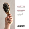 image:imageKent LPF1 Pure Flow Oval Cushion Vented Hair Brush FSC Certified Beech Wood Paddle Brush filled with Natural Boar Bristle and Nylon Bristle for Blowdry Detangle Volume and Curls Made in EnglandPF02