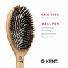 image:imageKent LPF1 Pure Flow Oval Cushion Vented Hair Brush FSC Certified Beech Wood Paddle Brush filled with Natural Boar Bristle and Nylon Bristle for Blowdry Detangle Volume and Curls Made in EnglandPF07