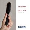 image:imageKent Minihog Detangler Brush Anti Static Hair Brush with Rounded Nylon Bristles for All Hair Types Travel Brush with Ergonomic Grip for Easy StylingLarge