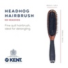 image:imageKent Minihog Detangler Brush Anti Static Hair Brush with Rounded Nylon Bristles for All Hair Types Travel Brush with Ergonomic Grip for Easy StylingLarge