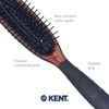 image:imageKent Minihog Detangler Brush Anti Static Hair Brush with Rounded Nylon Bristles for All Hair Types Travel Brush with Ergonomic Grip for Easy StylingLarge Pack of 3