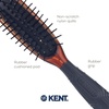image:imageKent Minihog Detangler Brush Anti Static Hair Brush with Rounded Nylon Bristles for All Hair Types Travel Brush with Ergonomic Grip for Easy StylingSmall