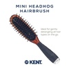image:imageKent Minihog Detangler Brush Anti Static Hair Brush with Rounded Nylon Bristles for All Hair Types Travel Brush with Ergonomic Grip for Easy StylingSmall