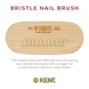 image:imageKent NB3 Natural Bristle Fingernail Brush and Hand Scrub Brush for Nails Beechwood Finger Nail Brush to Clean Nails and Nail Scrubber Brush for Hands Feet Fingernails and Toenails Made in EnglandNB3