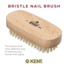 image:imageKent NB3 Natural Bristle Fingernail Brush and Hand Scrub Brush for Nails Beechwood Finger Nail Brush to Clean Nails and Nail Scrubber Brush for Hands Feet Fingernails and Toenails Made in EnglandNB4