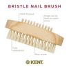 image:imageKent NB3 Natural Bristle Fingernail Brush and Hand Scrub Brush for Nails Beechwood Finger Nail Brush to Clean Nails and Nail Scrubber Brush for Hands Feet Fingernails and Toenails Made in EnglandNB3