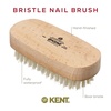 image:imageKent NB3 Natural Bristle Fingernail Brush and Hand Scrub Brush for Nails Beechwood Finger Nail Brush to Clean Nails and Nail Scrubber Brush for Hands Feet Fingernails and Toenails Made in EnglandNB4