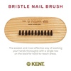 image:imageKent NB3 Natural Bristle Fingernail Brush and Hand Scrub Brush for Nails Beechwood Finger Nail Brush to Clean Nails and Nail Scrubber Brush for Hands Feet Fingernails and Toenails Made in EnglandNB2