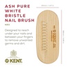image:imageKent NB3 Natural Bristle Fingernail Brush and Hand Scrub Brush for Nails Beechwood Finger Nail Brush to Clean Nails and Nail Scrubber Brush for Hands Feet Fingernails and Toenails Made in EnglandNB3