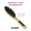 image:imageKent PF10 Natural Boar Bristle Brush  Hair Straightening Styling and Smoothing for Short to Medium Length Hair TravelFriendlyPF05