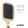 image:imageKent PF17 Large Cushion Paddle Brush Taming Fine Pins Hair  Detangling Long Thick Curly Hair Scalp Massager Growth Stimulator Wet or Dry Use Made in EnglandPF17