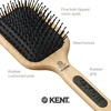 image:imageKent PF17 Large Cushion Paddle Brush Taming Fine Pins Hair  Detangling Long Thick Curly Hair Scalp Massager Growth Stimulator Wet or Dry Use Made in EnglandPF18