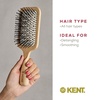 image:imageKent PF17 Large Cushion Paddle Brush Taming Fine Pins Hair  Detangling Long Thick Curly Hair Scalp Massager Growth Stimulator Wet or Dry Use Made in EnglandLPF2