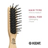 image:imageKent PF20 Narrow Cushion Paddle Brush  Taming Fat Pins Detangling Long Thick and Curly Hair Scalp Massager and Growth Stimulator for All Hair Types Made in EnglandPF21