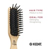 image:imageKent PF20 Narrow Cushion Paddle Brush  Taming Fat Pins Detangling Long Thick and Curly Hair Scalp Massager and Growth Stimulator for All Hair Types Made in EnglandPF20
