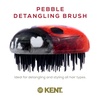 image:imageKent PMB Black Pebble Scalp Massager Shampoo Brush Travel Size Detangling Brush  Scalp Scrubber for Dandruff and Kids Hair Brush for Detangler Shower Hairbrush for TanglesLadybug