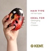 image:imageKent PMB Black Pebble Scalp Massager Shampoo Brush Travel Size Detangling Brush  Scalp Scrubber for Dandruff and Kids Hair Brush for Detangler Shower Hairbrush for TanglesLadybug