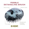 image:imageKent PMB Black Pebble Scalp Massager Shampoo Brush Travel Size Detangling Brush  Scalp Scrubber for Dandruff and Kids Hair Brush for Detangler Shower Hairbrush for TanglesHedgehog