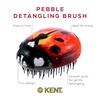 image:imageKent PMB Black Pebble Scalp Massager Shampoo Brush Travel Size Detangling Brush  Scalp Scrubber for Dandruff and Kids Hair Brush for Detangler Shower Hairbrush for TanglesLadybug