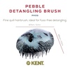 image:imageKent PMB Black Pebble Scalp Massager Shampoo Brush Travel Size Detangling Brush  Scalp Scrubber for Dandruff and Kids Hair Brush for Detangler Shower Hairbrush for TanglesHedgehog