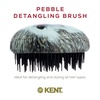 image:imageKent PMB Black Pebble Scalp Massager Shampoo Brush Travel Size Detangling Brush  Scalp Scrubber for Dandruff and Kids Hair Brush for Detangler Shower Hairbrush for TanglesHedgehog