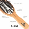 image:imageKent Peter Rabbit Small Bristle Nylon Mix Hairbrush Natural Boar Bristle Hair Brush Wooden Beechwood Handle Professional Hair Brushes for Women All Hair TypesPR02