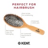 image:imageKent Peter Rabbit Small Bristle Nylon Mix Hairbrush Natural Boar Bristle Hair Brush Wooden Beechwood Handle Professional Hair Brushes for Women All Hair TypesPR01