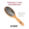 image:imageKent Peter Rabbit Small Bristle Nylon Mix Hairbrush Natural Boar Bristle Hair Brush Wooden Beechwood Handle Professional Hair Brushes for Women All Hair TypesPR01