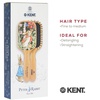 image:imageKent Peter Rabbit Small Bristle Nylon Mix Hairbrush Natural Boar Bristle Hair Brush Wooden Beechwood Handle Professional Hair Brushes for Women All Hair TypesPR03