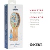 image:imageKent Peter Rabbit Small Bristle Nylon Mix Hairbrush Natural Boar Bristle Hair Brush Wooden Beechwood Handle Professional Hair Brushes for Women All Hair TypesPR02
