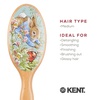 image:imageKent Peter Rabbit Small Bristle Nylon Mix Hairbrush Natural Boar Bristle Hair Brush Wooden Beechwood Handle Professional Hair Brushes for Women All Hair TypesPR01