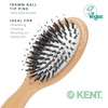 image:imageKent V07 Vegan Boar Bristle Hair Brush Large Organic Hair Brush for Smoothing and Boosting Shine Eco Friendly Paddle Brush Ideal for All Hair TypesSmall Porcupine