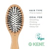 image:imageKent V07 Vegan Boar Bristle Hair Brush Large Organic Hair Brush for Smoothing and Boosting Shine Eco Friendly Paddle Brush Ideal for All Hair TypesSmall Porcupine