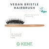 image:imageKent V07 Vegan Boar Bristle Hair Brush Large Organic Hair Brush for Smoothing and Boosting Shine Eco Friendly Paddle Brush Ideal for All Hair TypesSmall Porcupine