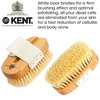 image:imageKent FD3 Luxury Beechwood Body Scrubbing Exfoliating BathShower Brush with 100 Pure White Bristle and Kent NB4 Natural Bristle Fingernail Brush and Hand Scrub Brush for Nails