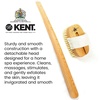 image:imageKent FD3 Luxury Beechwood Body Scrubbing Exfoliating BathShower Brush with 100 Pure White Bristle and Kent NB4 Natural Bristle Fingernail Brush and Hand Scrub Brush for Nails