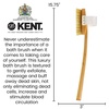 image:imageKent FD3 Luxury Beechwood Body Scrubbing Exfoliating BathShower Brush with 100 Pure White Bristle and Kent NB4 Natural Bristle Fingernail Brush and Hand Scrub Brush for Nails