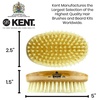 image:imageKent MS11 Finest Mens Hair Brush and Facial Brush for Beard Care  100 Natural White Boar Bristle Brush for Mens Grooming Scalp Brush 360 Wave and Beard Straightener for Mens Hair Care