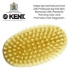 image:imageKent MS11 Finest Mens Hair Brush and Facial Brush for Beard Care  100 Natural White Boar Bristle Brush for Mens Grooming Scalp Brush 360 Wave and Beard Straightener for Mens Hair Care