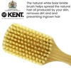 image:imageKent OS11 Military Club Hair Brush and Facial Brush for Hair and Beard Care  LPC3 Brush Cleaner Exfoliating Natural Boar Bristle Brush for Mens Grooming and Beard Straightener Made in England