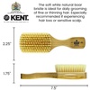 image:imageKent OS11 Military Club Hair Brush and Facial Brush for Hair and Beard Care  LPC3 Brush Cleaner Exfoliating Natural Boar Bristle Brush for Mens Grooming and Beard Straightener Made in England