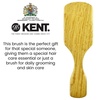 image:imageKent OS11 Military Club Hair Brush and Facial Brush for Hair and Beard Care  LPC3 Brush Cleaner Exfoliating Natural Boar Bristle Brush for Mens Grooming and Beard Straightener Made in England